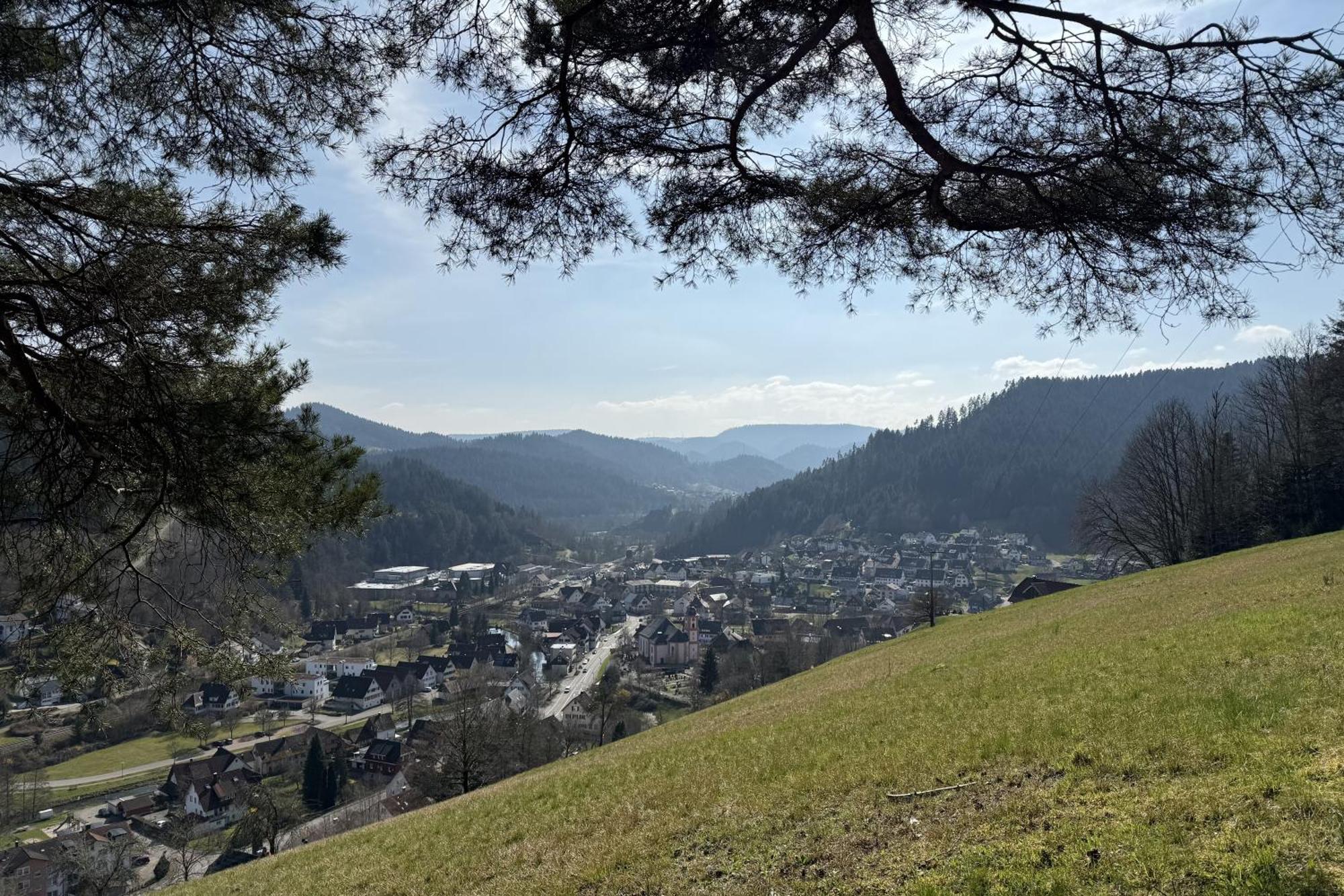Schwarzwald Blockhaus - Sauna - Kamin - Mit Bettwaesche Und Handtuecher Schenkenzell エクステリア 写真